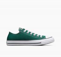 Converse Chuck Taylor All Star Unisex Low Top Dragon Scale A04548C
